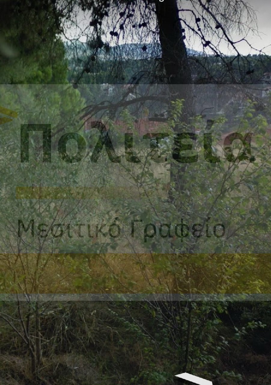 property-img